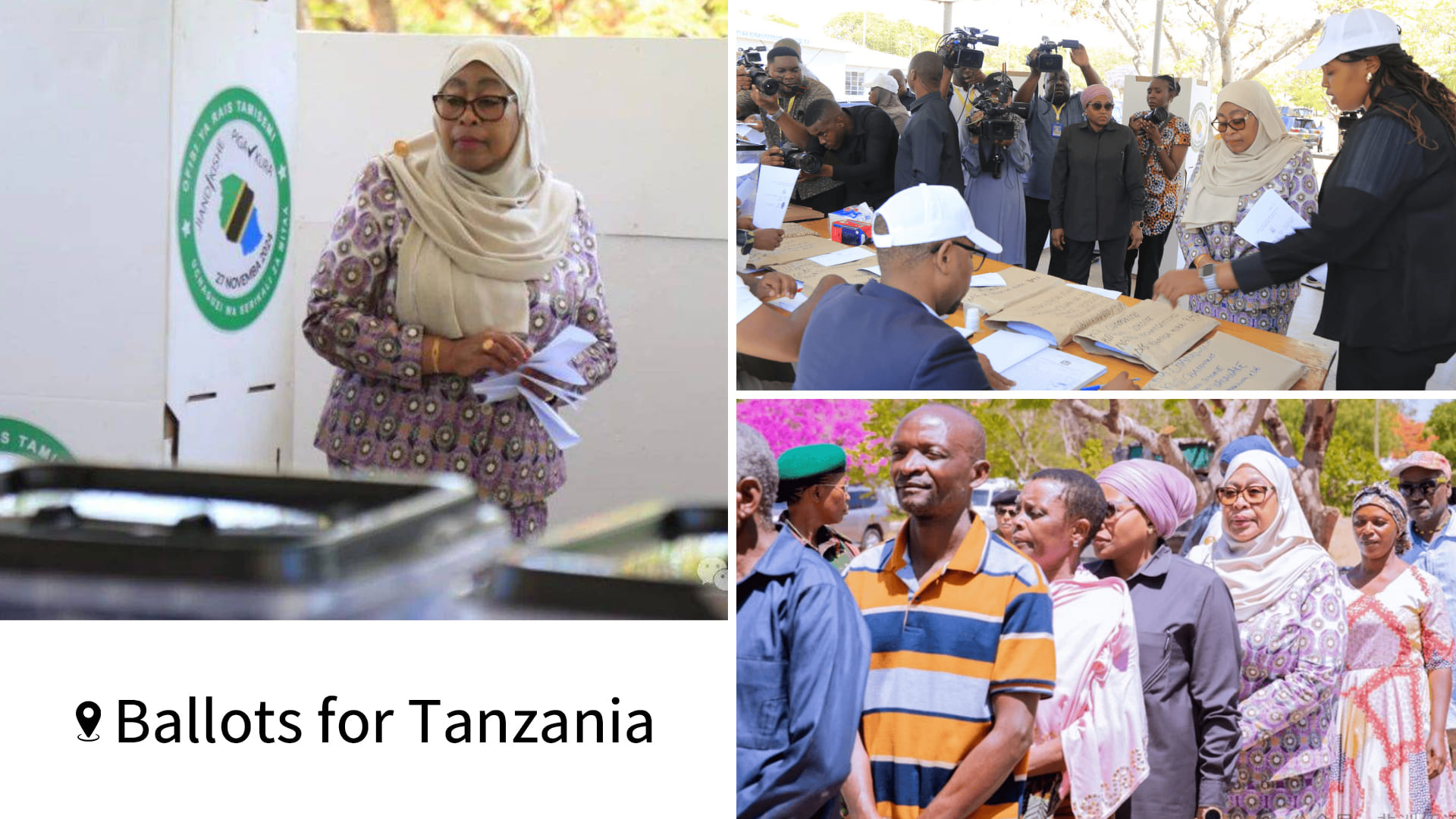坦桑尼亚选票