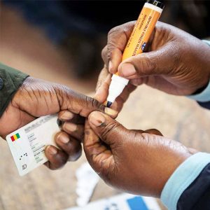 Indelible Voting Ink pen